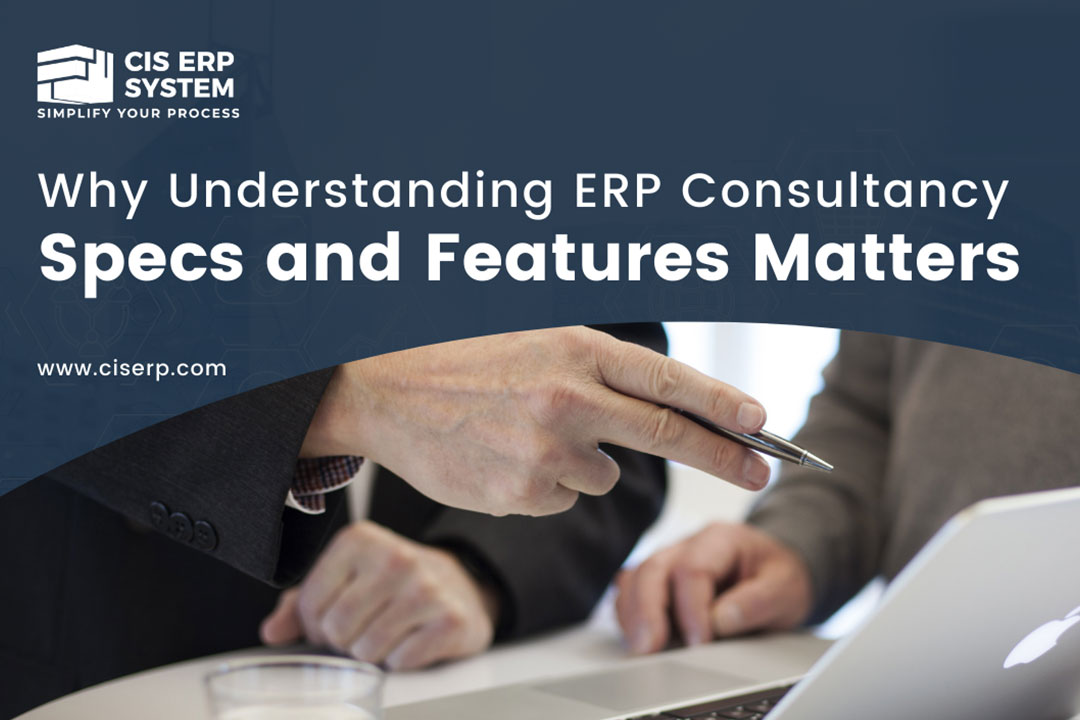 erp consultant